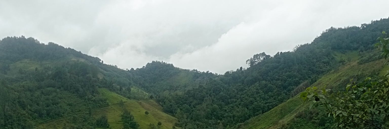 Mektom12's profile banner image