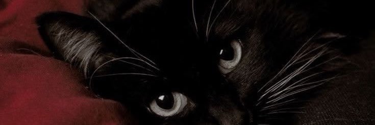 0v_n's profile banner image