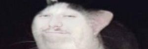 cornslamm's profile banner image