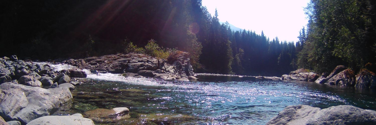 haleycopeland's profile banner image
