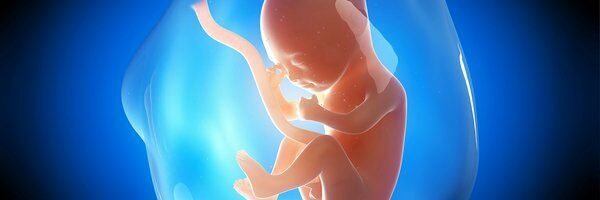 Hendrick Luckert banner