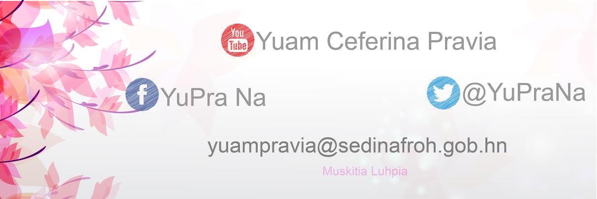 YuPraNa's profile banner image