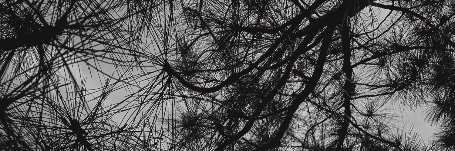 TeeBongie's profile banner image