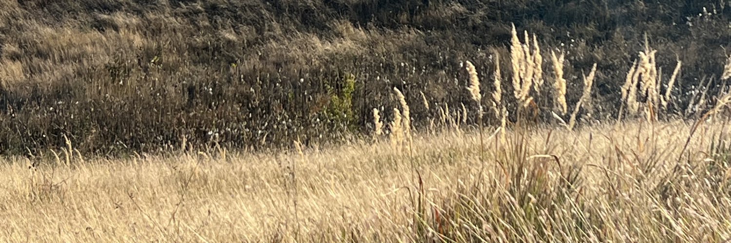 baraban818's profile banner image