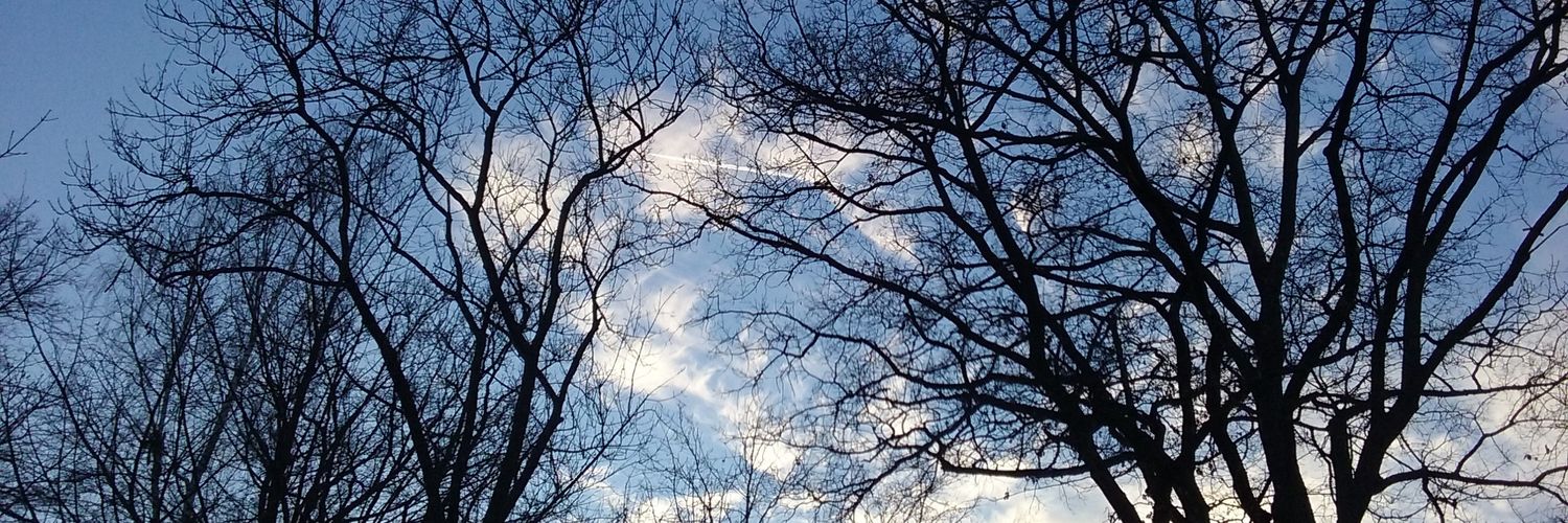 stara_opice's profile banner image