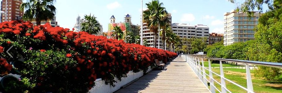 AVV Tramo 9 Jardín del Turia banner