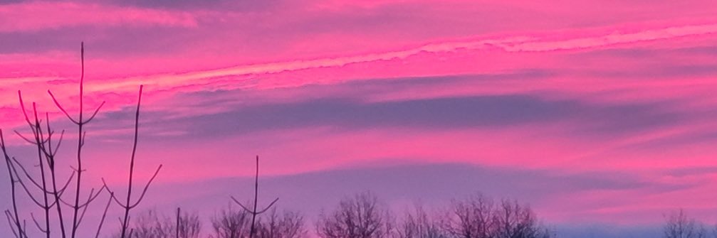 lynch_debi's profile banner image