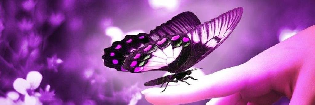 LauraRanger1's profile banner image