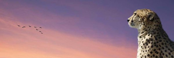 guptron Profile Banner