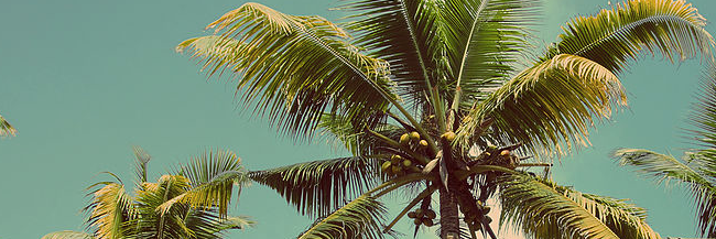 RareAnglesPhoto's profile banner image