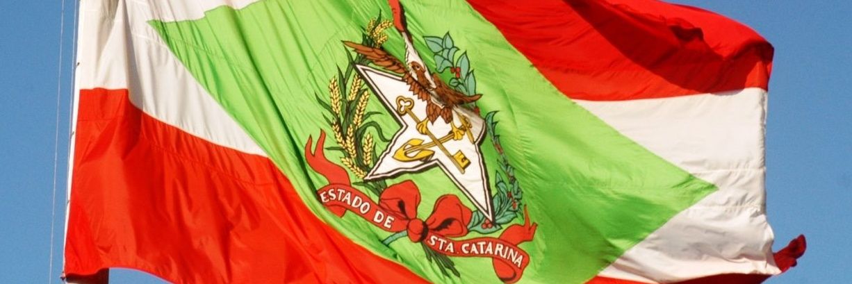 Carlos Moisés banner