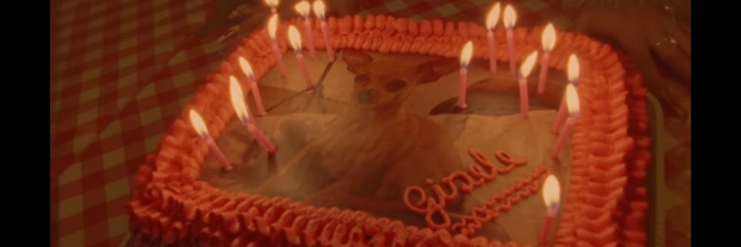 snakeldr's profile banner image