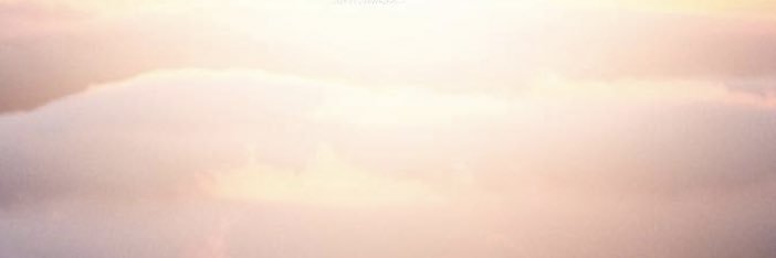 Heidi banner