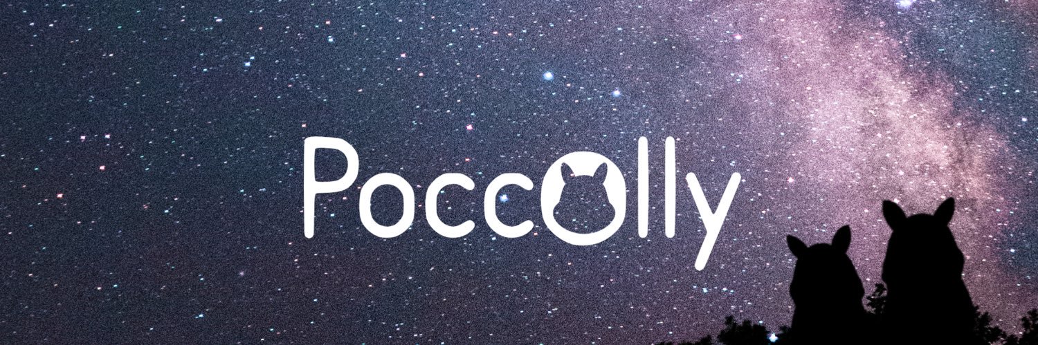 Poccolly 天野川絲乙/ｱﾏﾉｶﾞﾜｲﾄ banner