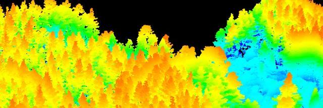 interpine_nz's profile banner image