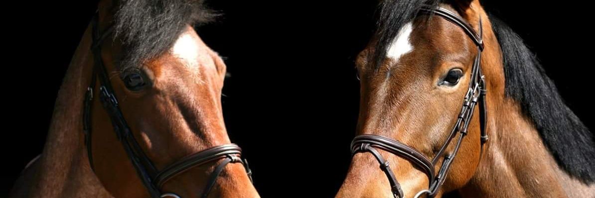 Lidianderonde's profile banner image