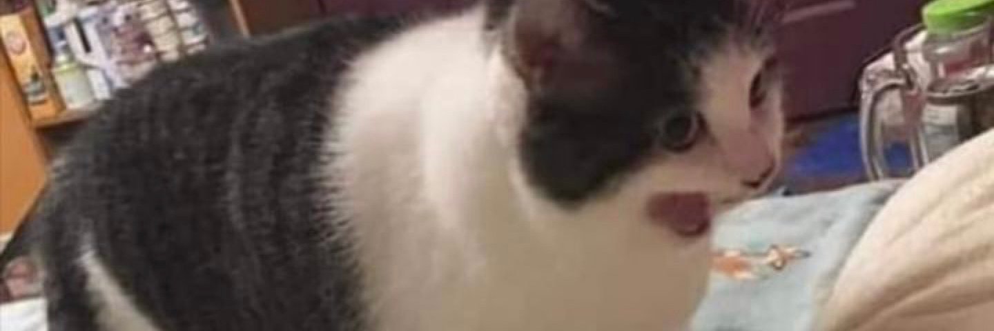 ERinnyper's profile banner image
