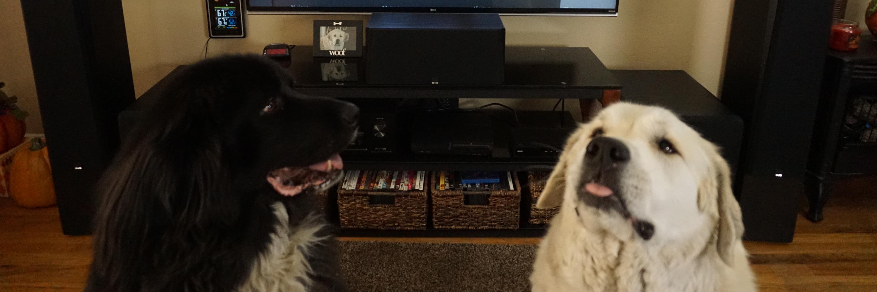 subwoofer101com's profile banner image