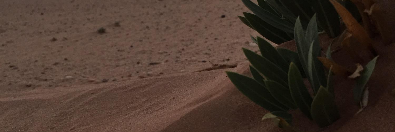 Relaaaaaaaaaaax's profile banner image