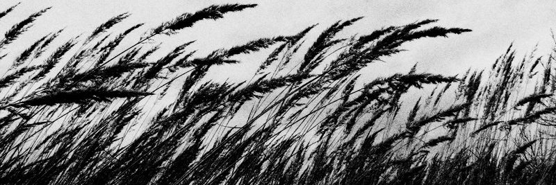 E_leenaa's profile banner image