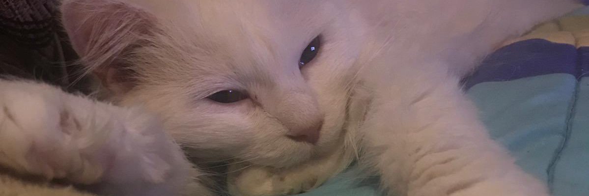 jessicarg1's profile banner image