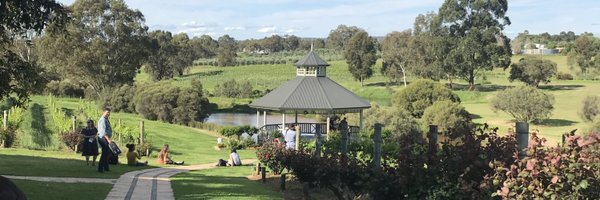 SalehAlquethamy Profile Banner