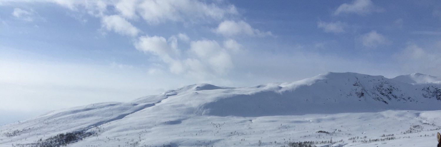 ACanInci's profile banner image