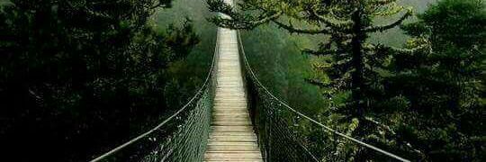 roj_soledad's profile banner image