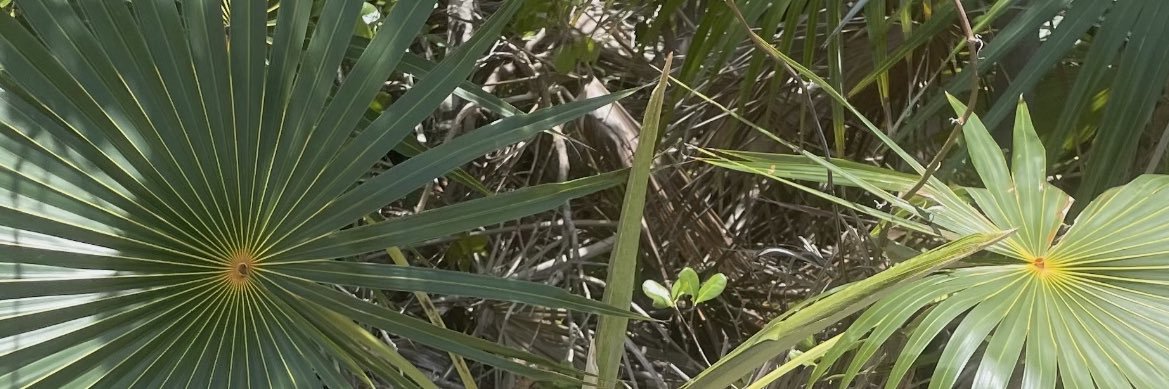 jennyrification's profile banner image