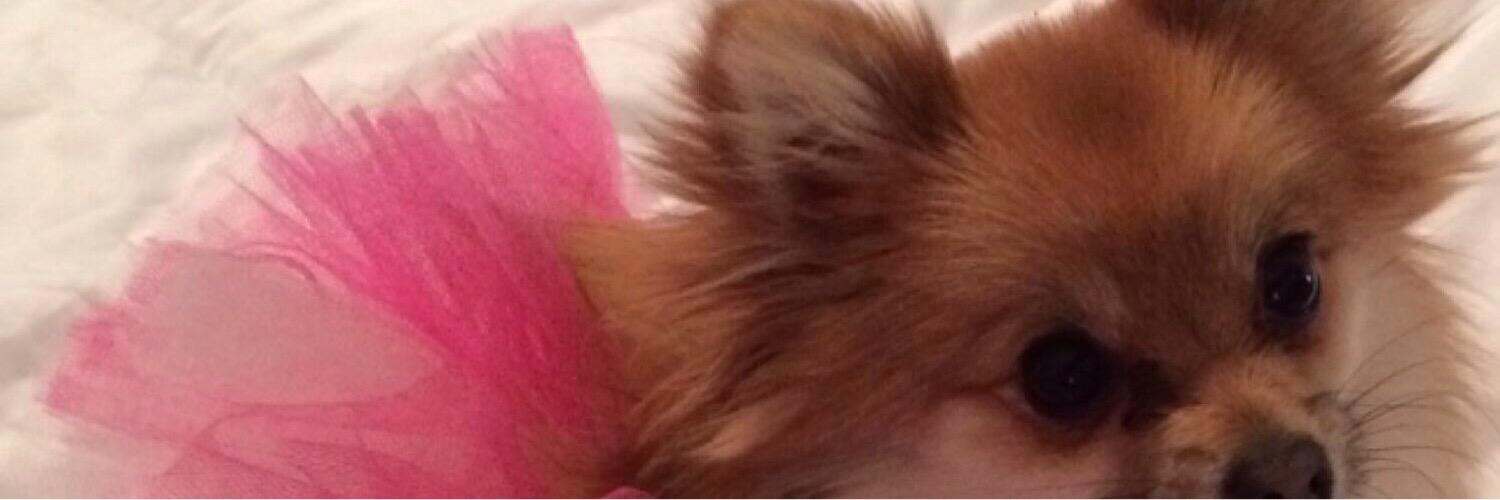 Jill Vertes banner