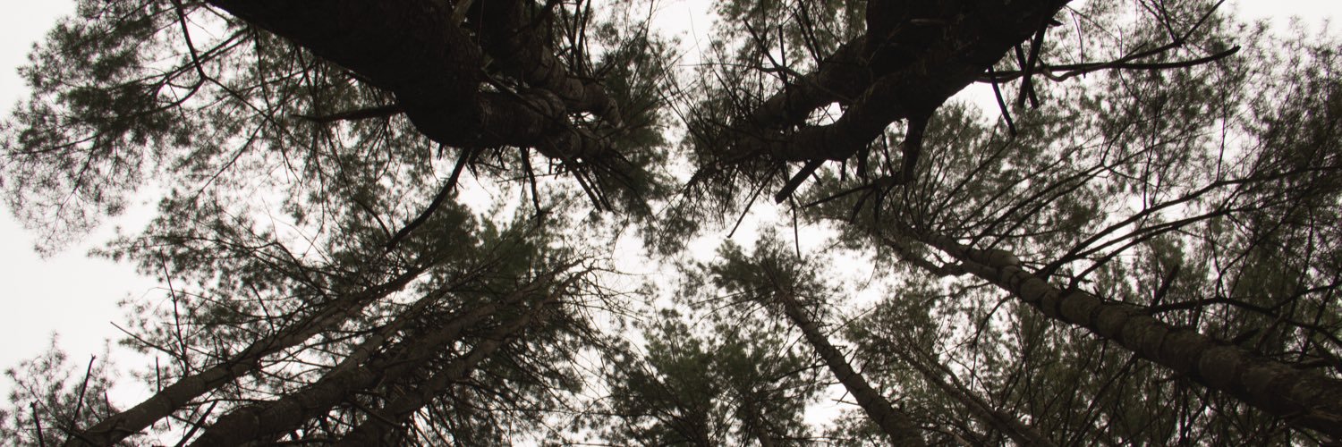 CCAcamp's profile banner image