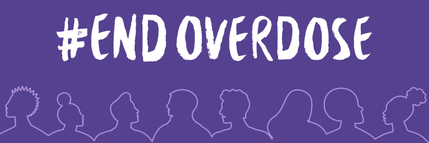 Chestnut Health Systems banner