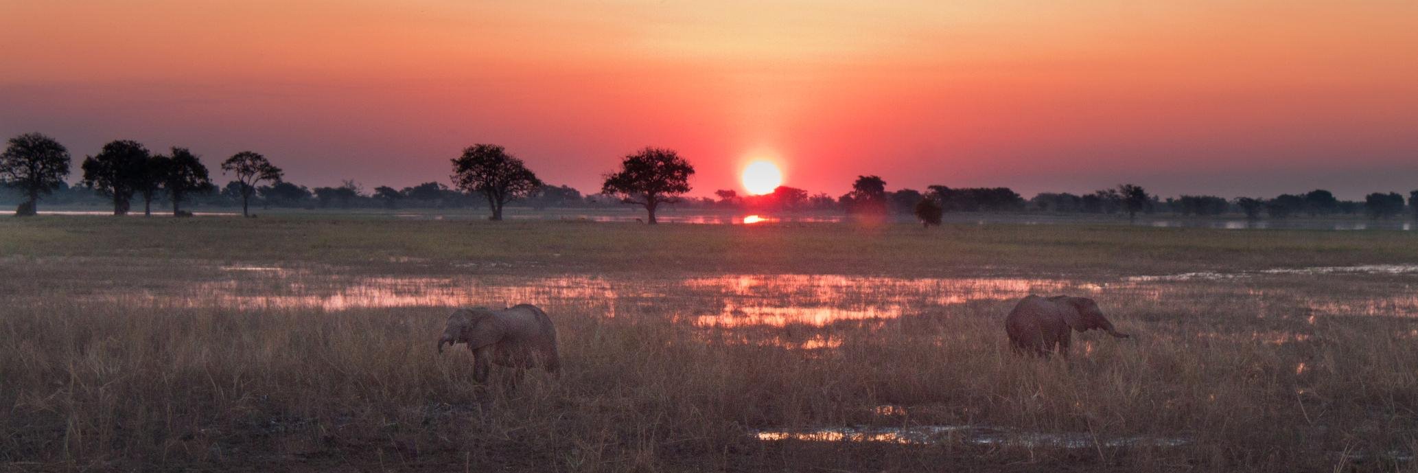 Clair Geary, PhD banner