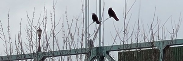 albcdad Profile Banner