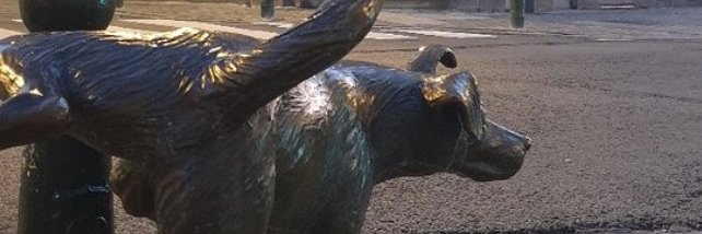 fraupenzer's profile banner image