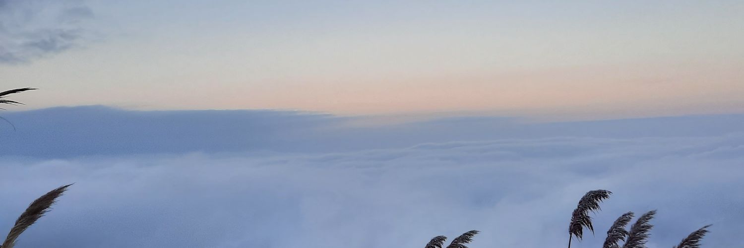 MiliAlvarez_'s profile banner image