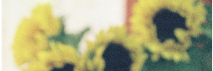 marisfull's profile banner image