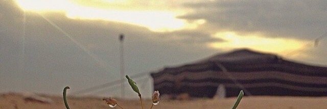 BarqaLjFa's profile banner image