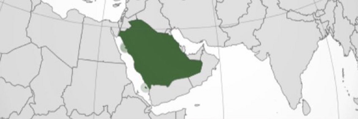 جواهر banner