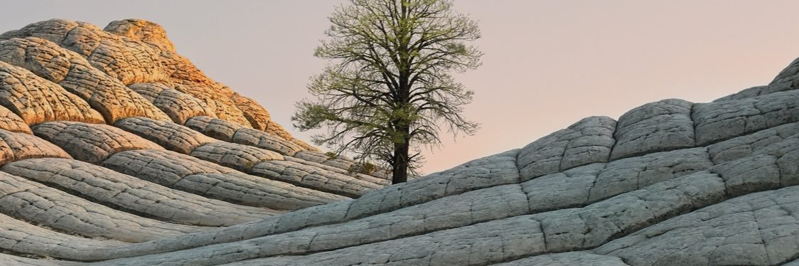 adamcodling's profile banner image