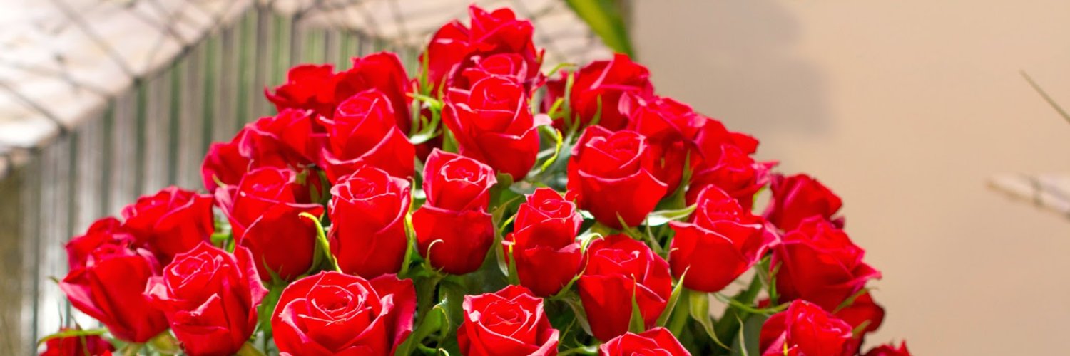 alsaaidy1's profile banner image