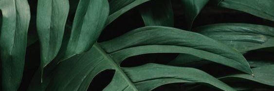 danespsan_'s profile banner image