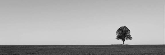 Luki banner