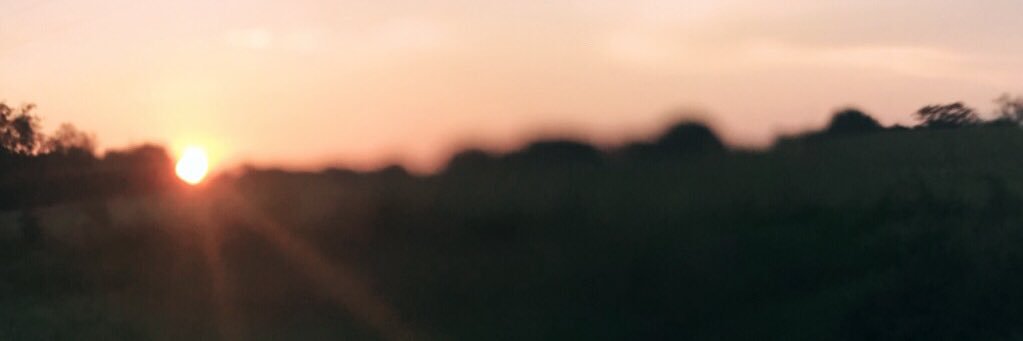 MadiRae10's profile banner image