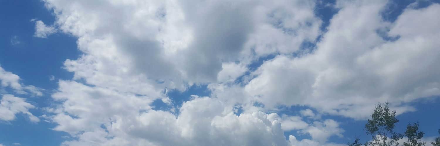 ankpearlkab's profile banner image