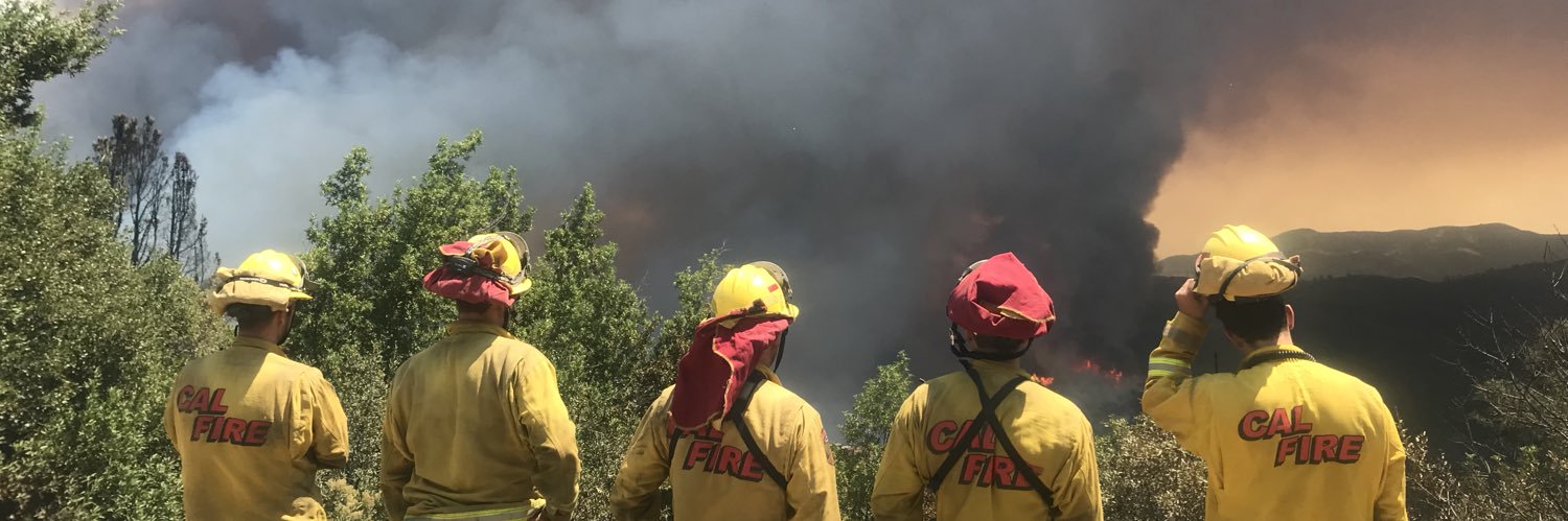 Wilson Walker banner