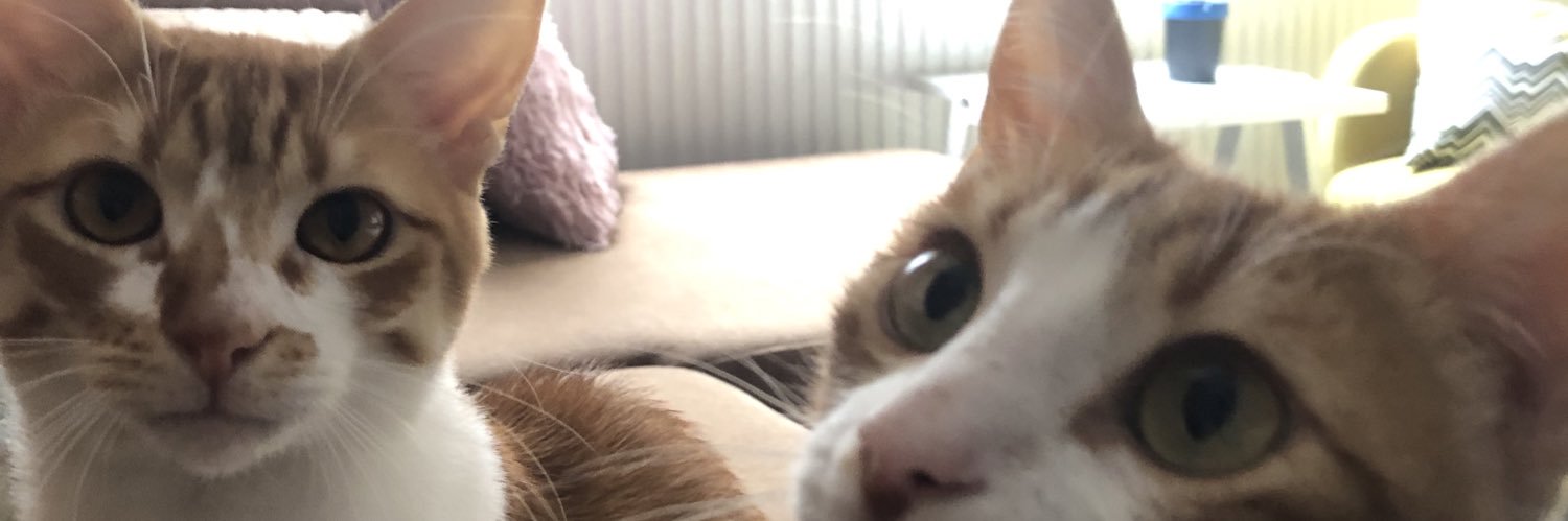 melissgocmen's profile banner image