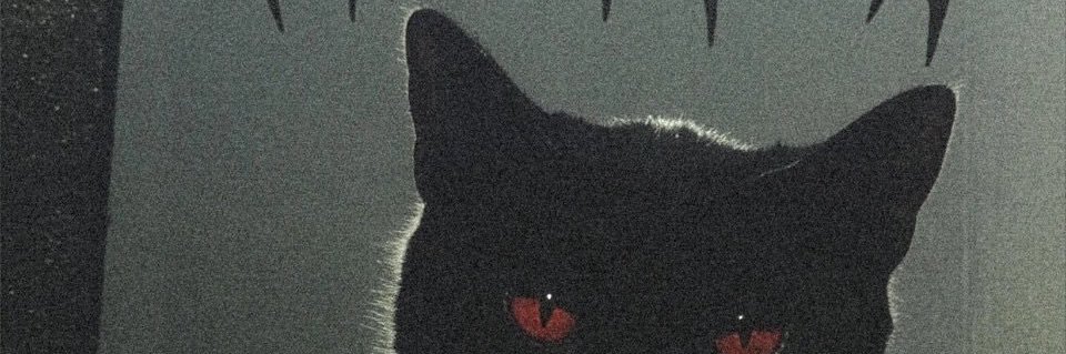 ᴅᴀꜱʜᴀᴡɴ ☻✌︎︎ banner