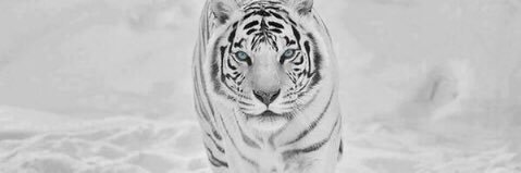 mr_fa_isal's profile banner image