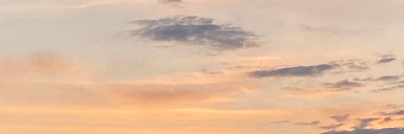 Maddie_Slader's profile banner image